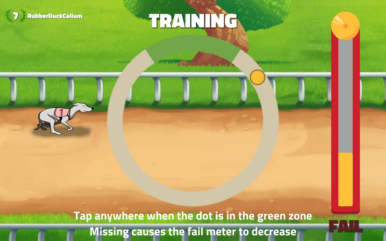 duck training game